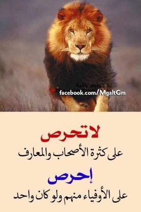 اموووت في االحب والرومنسيه