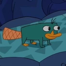 PerryOffi's profile picture. Brbrbrbrbrbr