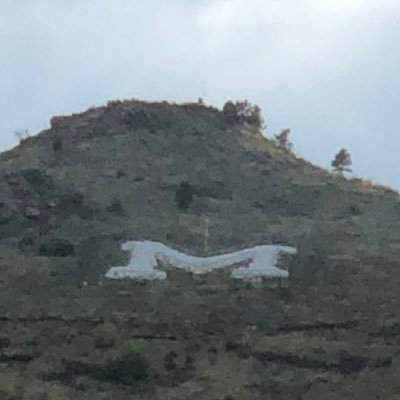 GoobMelzer's profile picture. 