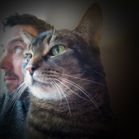 Pete aka alpha seven (@sofacompete) 's Twitter Profile