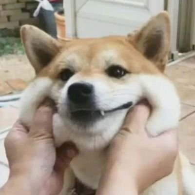 bbutterf1y's profile picture.