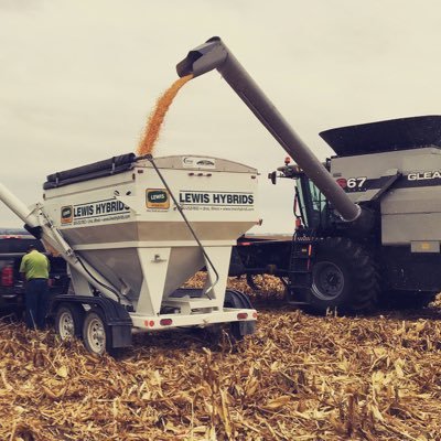 Seed dealership located in NWMO. Offering Lewis Hybrids products, Climate FieldView services, and crop scouting services. All opinions are my own