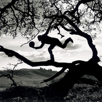 Tom Frost (@thomasfrostimus) 's Twitter Profile Photo