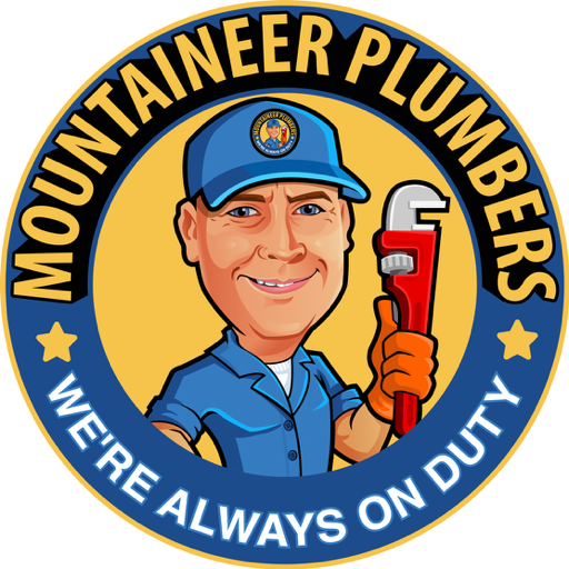 We service Princeton, Bluefield, Mullens, and Beckley WV. Discover why we get 5 star reviews. Call us when nothing but the best will do: 304-877-1254.
