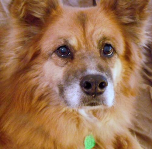 Pillbug's profile picture. Detecto consultant, Midwest transplant, photographer, Mom to dogs, cats & bunnies; observer of the trivial and mundane