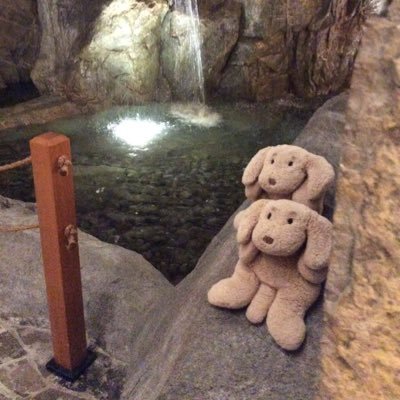 brothers reunited. booh found in posh Yorkville Toronto store booh- e found at gund factory in kittery Maine . happy reunion for life