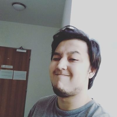 DKamerdinov's profile picture. web developer