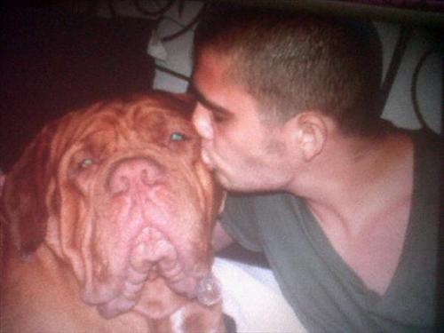 PelvisGeorge's profile picture. If you LOVE Max George, follow us in appreciation of his dogs! Pele + Elvis = PELVIS! Enjoy...