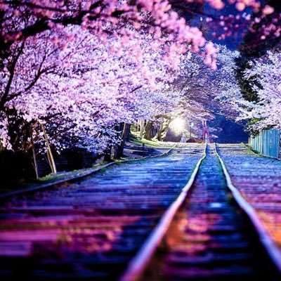 km_km24872612's profile picture. よろしくお願いいたします