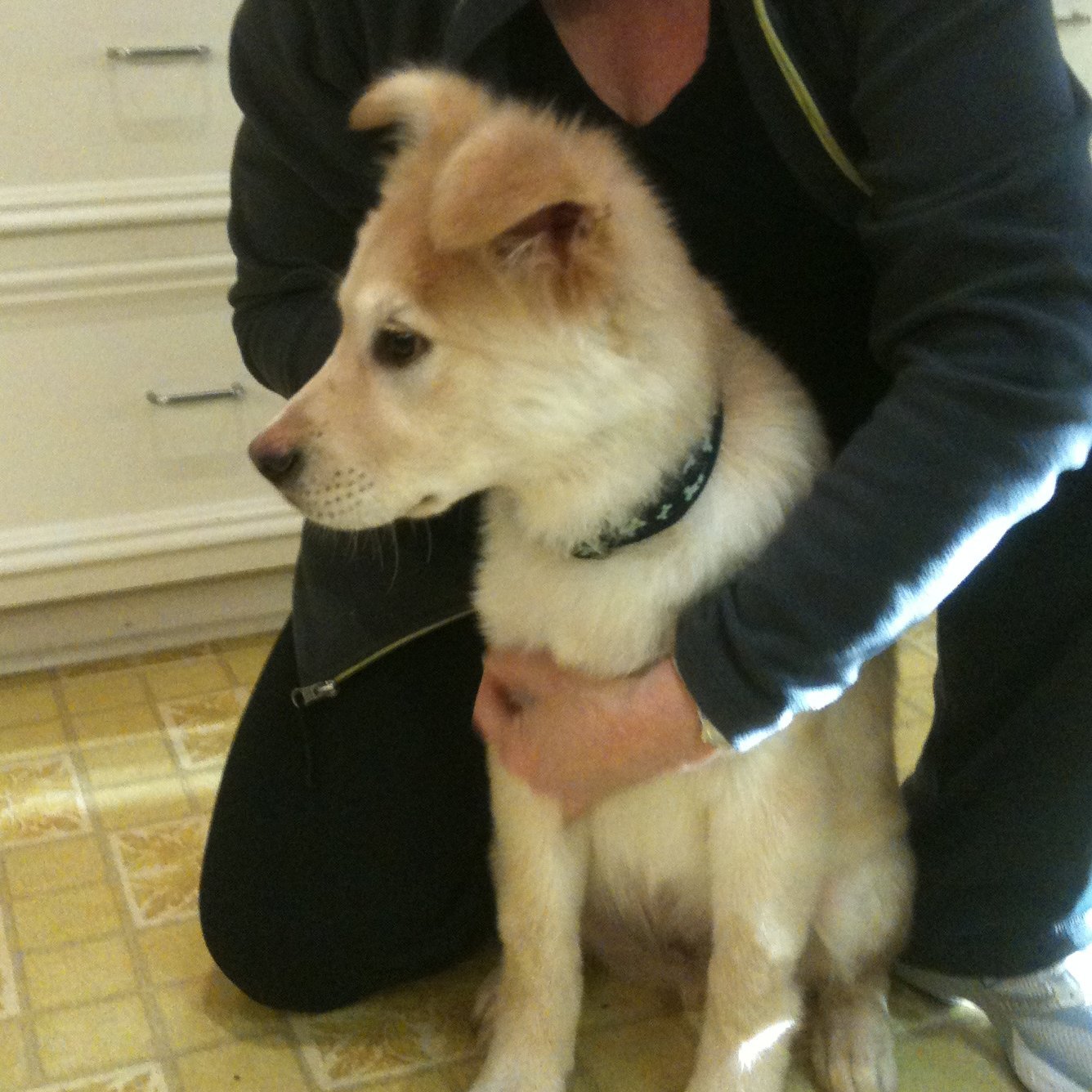 notarus62938392's profile picture. Not a Russian bot. Interested in LIBOR rates.