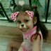 Angineys (@angineys1) Twitter profile photo Angineys (@angineys1) Twitter profile photo