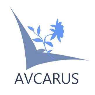 Avcarus's profile picture. Avcarus Virtual Airlines Official Twitter / FS2004 / FSX / VA