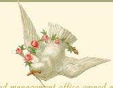 LeamingtonDove's profile picture. Leamington Dove Music is a fully independent Record Label and Management Office owned by its own Artist @keikowalker / Shop 🛍 @salley_gardens