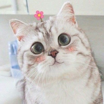 Nukku_pnvさんのプロフィール画像