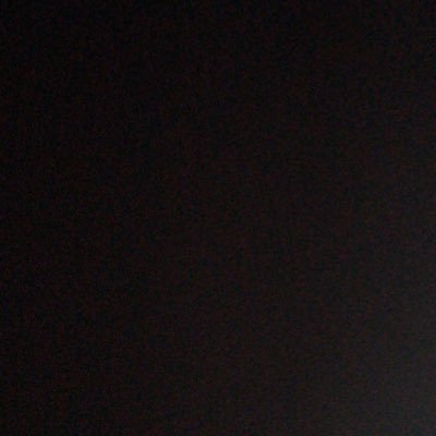 AssafAlqahtani's profile picture. Bird