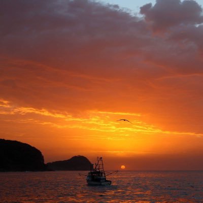 danevanderneut's profile picture. I am a commercial fisherman and truck driver from australia.