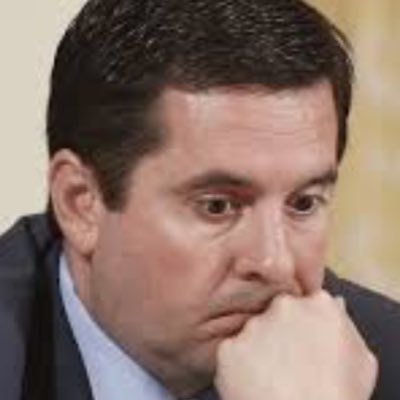 The official unofficial account for Devin Nunes' hurted feewings. In case you're slow, or Devin, this is a PARODY. Feewings can't really Twitter.