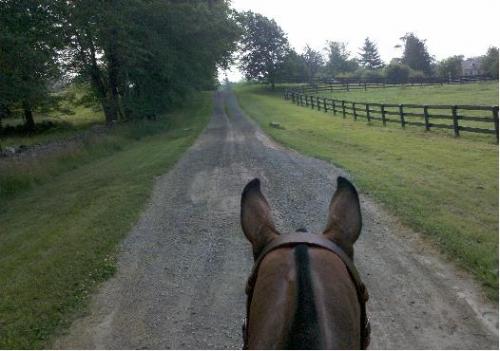 OcalaPoloAssn's profile picture. Polo association in the Ocala area that organizes and plays polo at three local clubs: Sunnyside Polo Club, Powers Plantation Polo Club, and the FL Horse Park