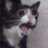 yahanoho's profile image