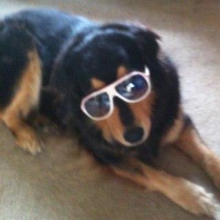 walkersc323's profile picture. Probably older than you.