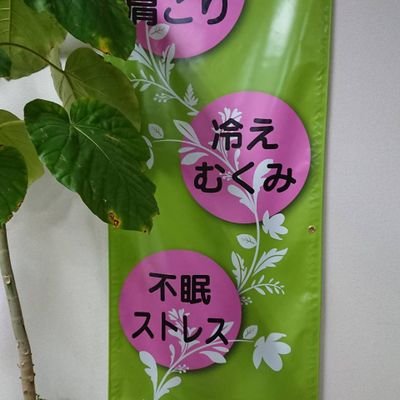 看護師歴30年以上。現在整体師として5年目を迎えます。皆さん🎵お気軽にお立ち寄りください✌️TEL090-3072-8577
#ハナミズキ #上五島 #整体 #健康ストレッチ