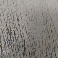 hsnsk (@hasangs1881) Twitter profile photo