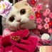 ミニー❤️マリー (@00minny) Twitter profile photo