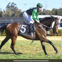 Greg McFarlane (@gmacracing) 's Twitter Profile