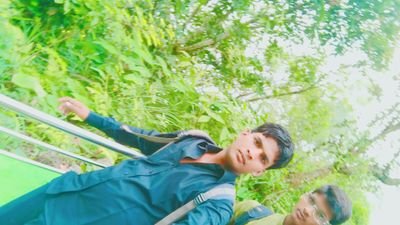 Shahabu00040411's profile picture. Exports