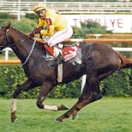 BAYDUHAN (@bayduhan3) Twitter profile photo