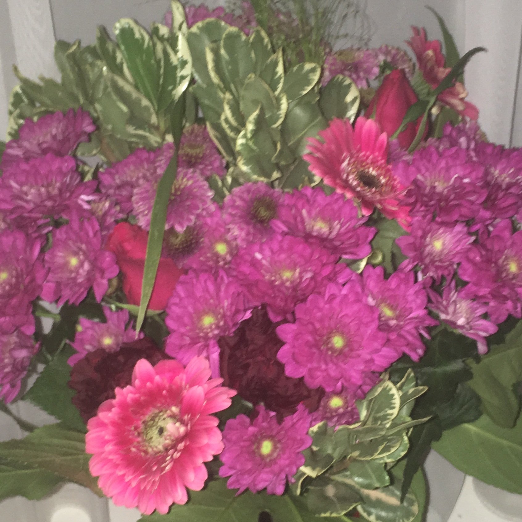 Nikki_Lou1922's profile picture. 