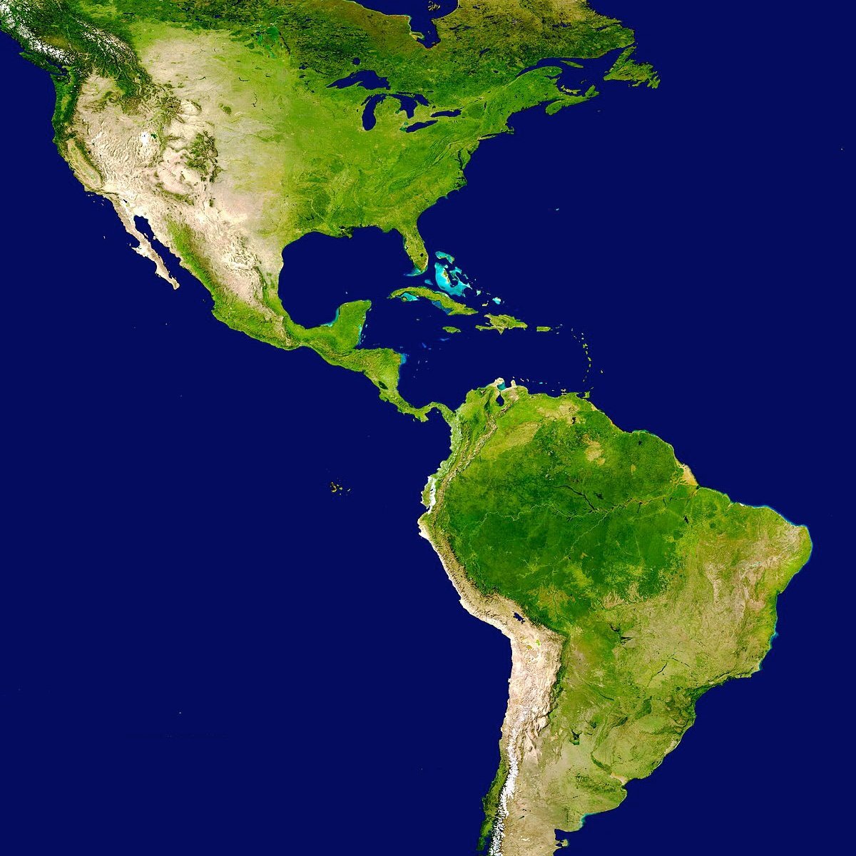 america_equipo's profile picture. Somos América equipo, y conseguiremos concluir nuestra misión con éxito🤩