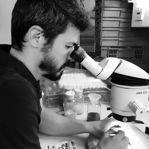 jm_symbiosis's profile picture. 