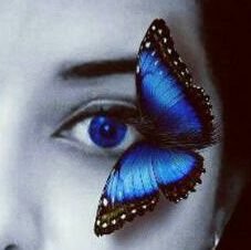 IrumShkh's profile picture. Philophobian Callous!
Gazzetted Officer @ HEC.