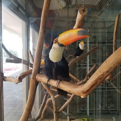 Tariq68978420's profile picture. cellphone1