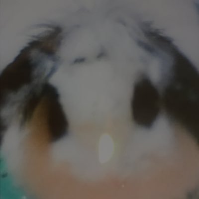 cBJRMQBTl4LGxeL's profile picture. 三代目 J Soul Brothersに年甲斐もなくはまりまくり💙