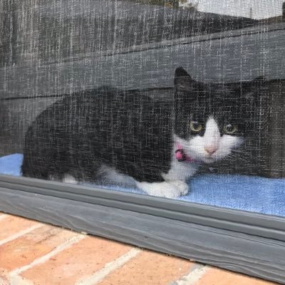 johnocj391710's profile picture. 