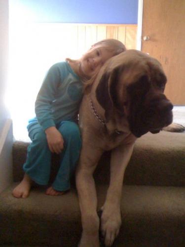 sixxofus's profile picture. Incredibly Rad Family of Sixx