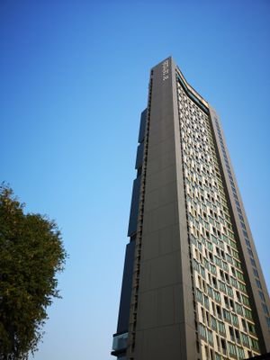 AppleJapan6's profile picture. Just​ ​me