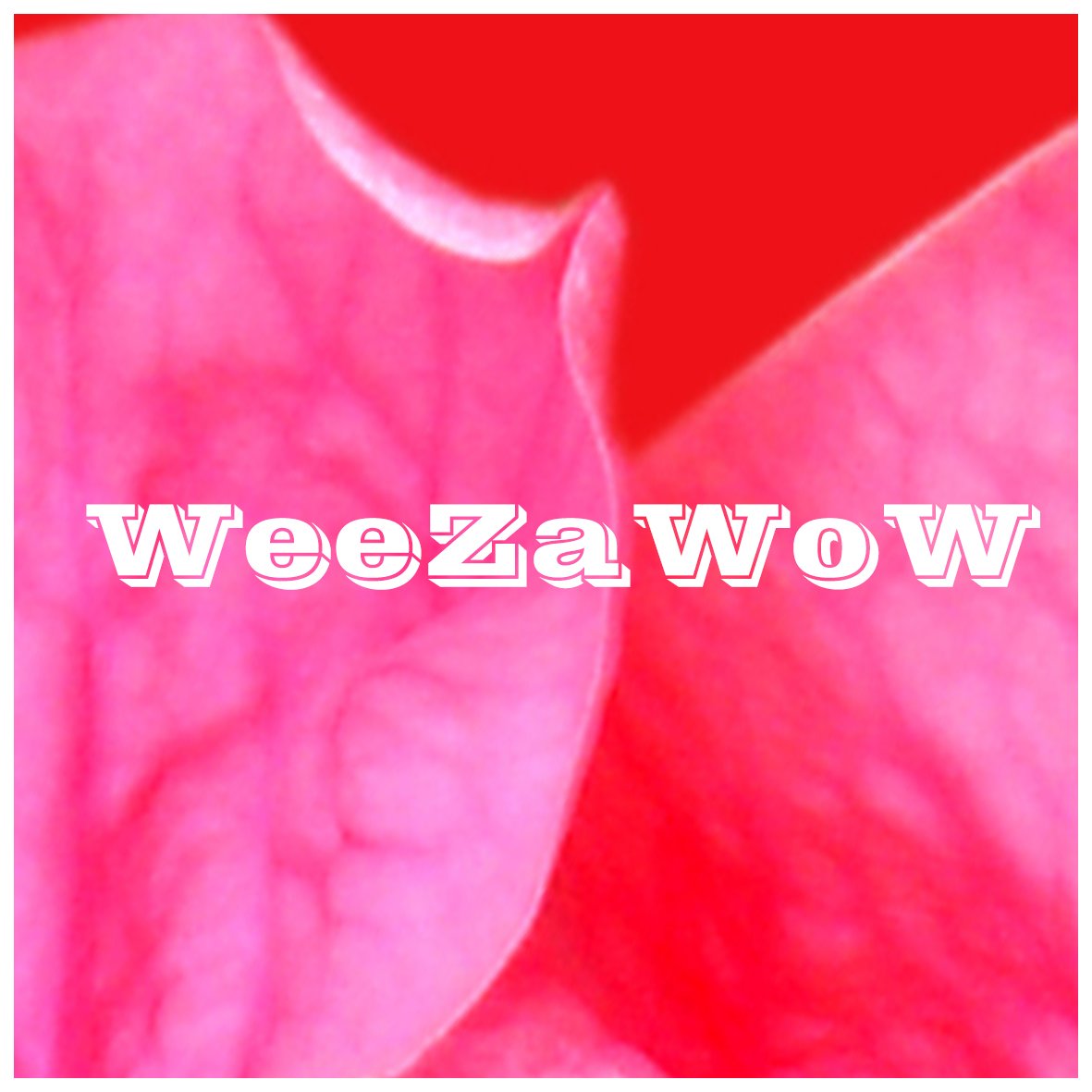 WeeZaWoWさんのプロフィール画像
