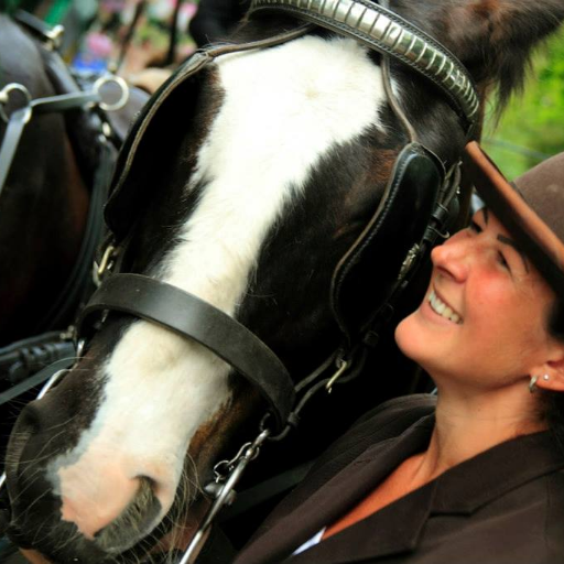 Retired commercial carriage-driving horses who are now increasing wellbeing, and lowering depression, by offering therapy services