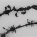 Aldridge Lab (@aldridge_lab) Twitter profile photo Aldridge Lab (@aldridge_lab) Twitter profile photo