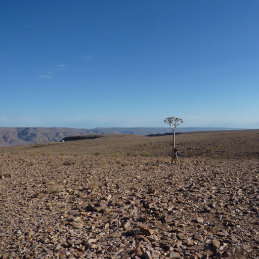 Kavi_Shar's profile picture. 