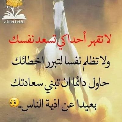 HarounFeras1's profile picture. 