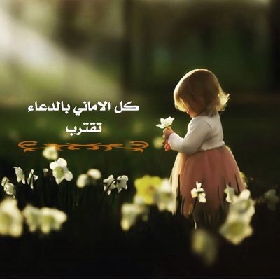 QlEJp0pp9sqXu2K Profile Picture