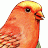 filthycanary's profile image