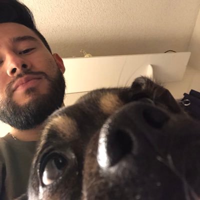 mayoralex10's profile picture. 