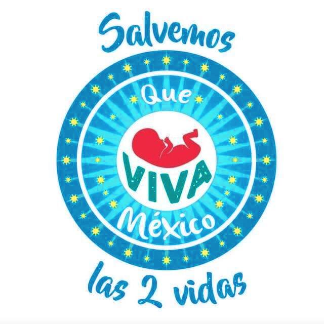Provida, Siervo inútil de Dios, Catequista, Adorador Perpetuo, Mercadotecnia Estratégica, y Nutrióloga