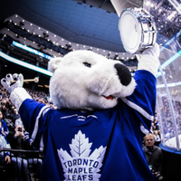 CarltonTheBear(@CarltonTheBear) 's Twitter Profile Photo