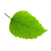 Mindfulness in Action (@mindfulcardiff) Twitter profile photo Mindfulness in Action (@mindfulcardiff) Twitter profile photo